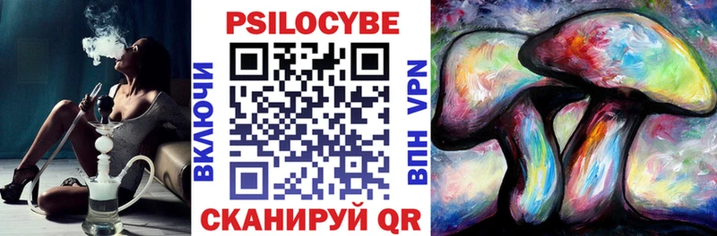 как найти наркотики  Анадырь  Псилоцибиновые грибы Psilocybine cubensis 